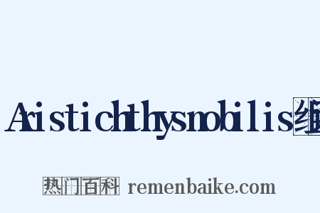 Aristichthysnobilis组词是什么意思的图片